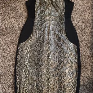 Snack print gold back short sleeve dress